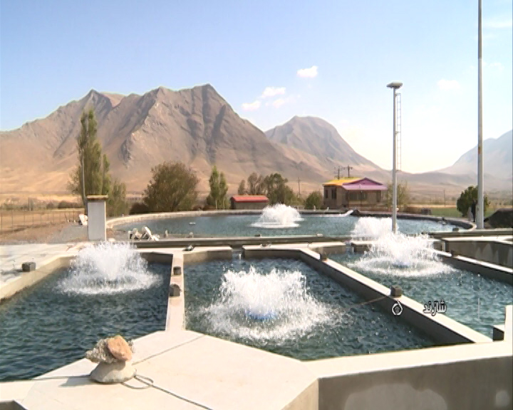 اولین واحد پرورش ماهی کشور با آب بازیافتی +فیلم