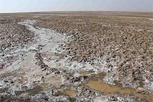 پرداخت خسارت از 23 اسفند