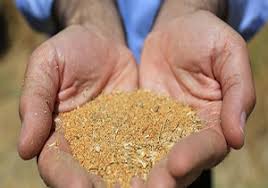 توزیع بیش از 15 هزار تن نهاده دامی در خراسان جنوبی