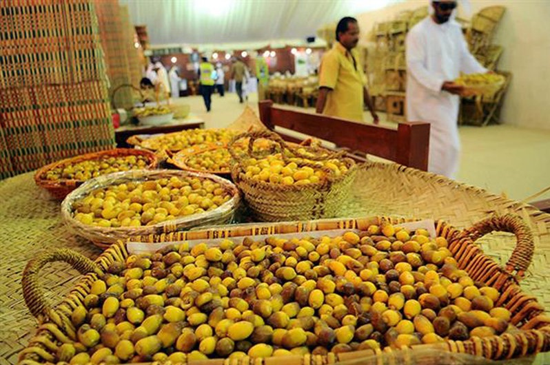 آغاز برداشت خارک و رطب در شادگان