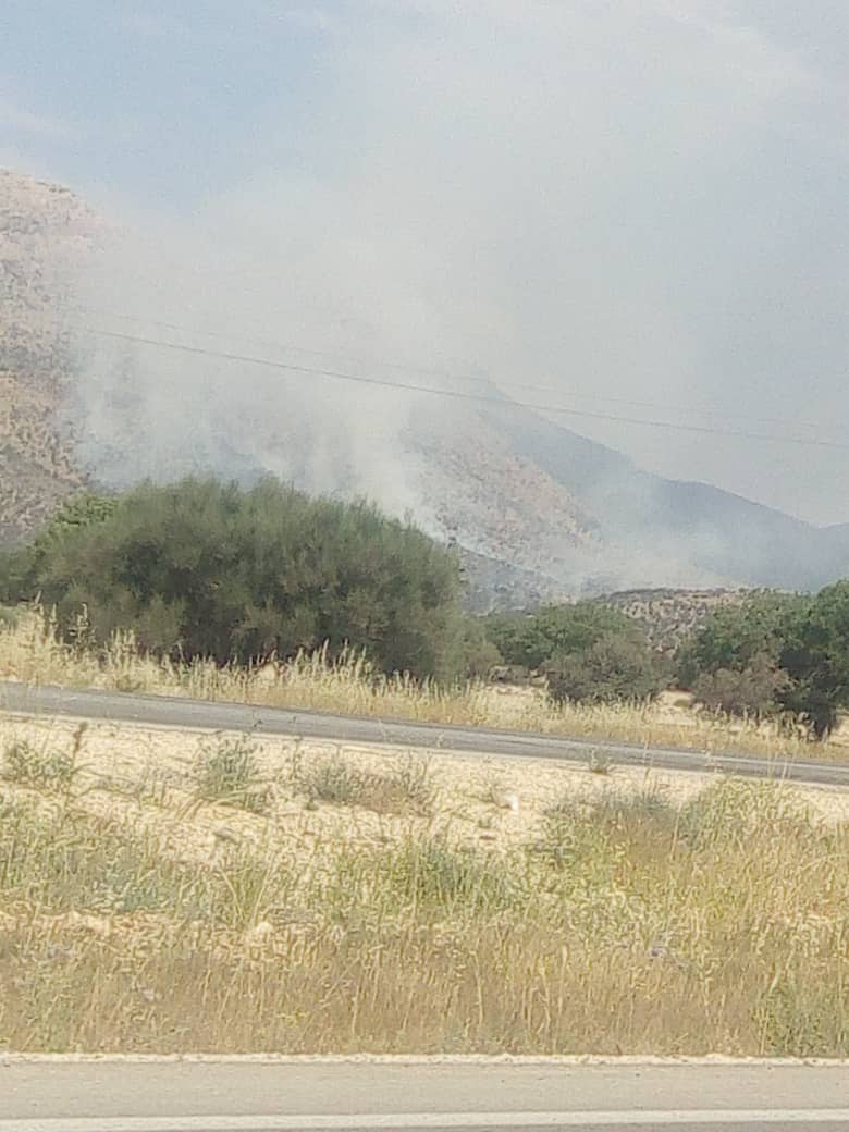 آتش سوزی در روستای موک میمند