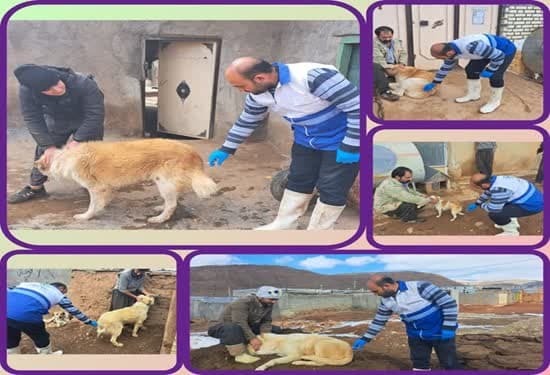 برگزاری کلاس‌های آموزشی ترویجی با اولویت بیماری‌های مشترک بین دام و انسان