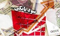 ناترازی بانک ها علت افزایش نرخ سود بین بانکی