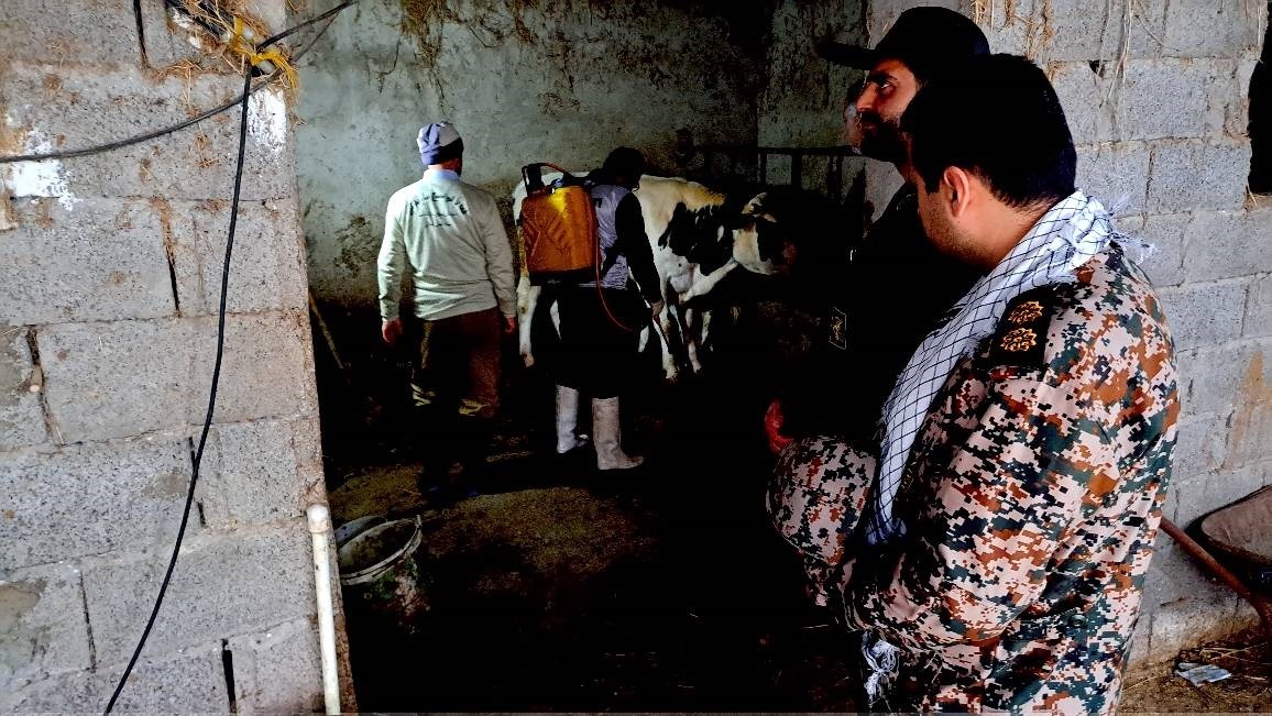 خدمات رایگان دامپزشکی در روستا‌های گیلان