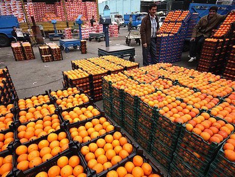 ذخیره‌سازی ۱۵۰ هزار تن انواع مرکبات در مازندران