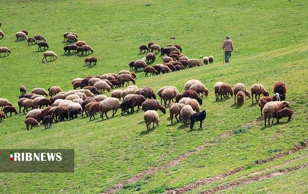 ۱۰۷ طرح مرتع‌داری برای عشایر خراسان شمالی تهیه شد