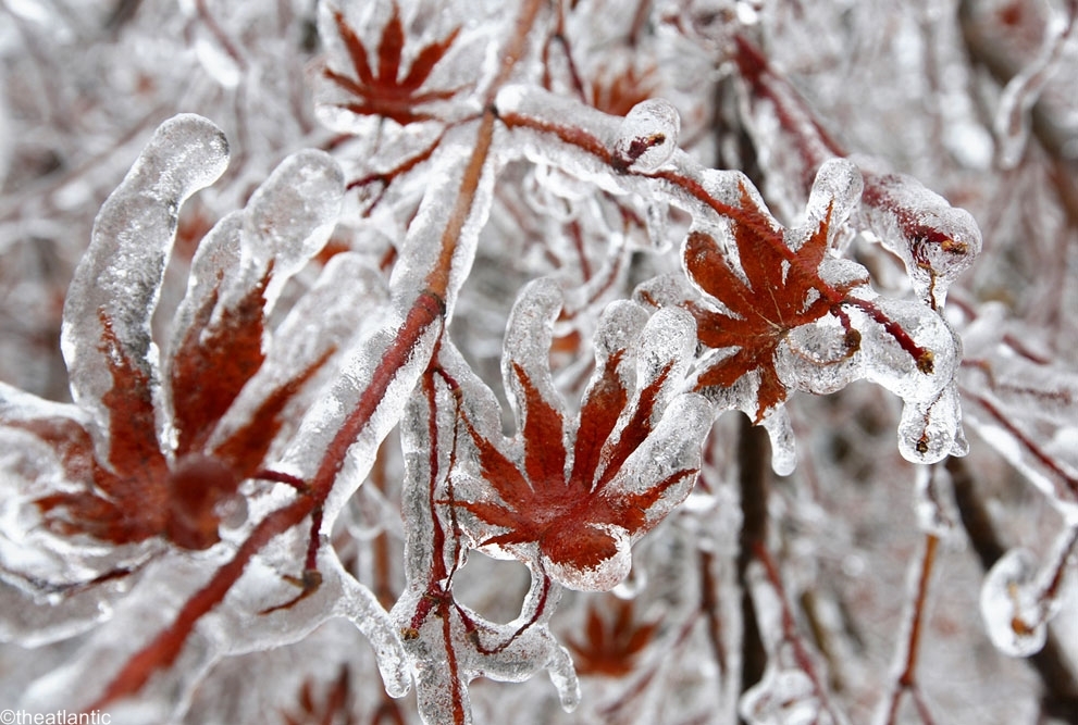 تداوم سرما و یخبندان شبانه در استان یزد