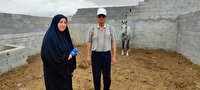 اهدای اسب اصیل خراسان شمالی به پاس شجاعت گوینده خبر