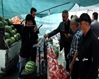 ساماندهی وانت بارهای میوه فروش  در سمنان