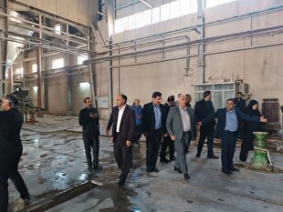 احیای  کارخانه های راکد در دستور کار دولت