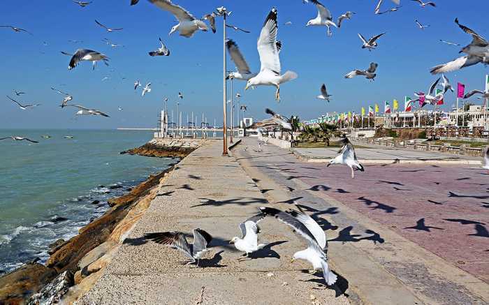 وضعیت جوی بوشهر به‌نسبت آرام پیش‌بینی می‌شود