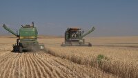 تلاش بی وقفه روستاییان برای چرخش اقتصاد