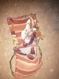 دستگیری شکارچیان سابقه‌دار در منطقه حفاظت‌شده کوه بافق
