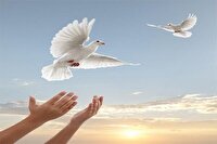 آزادی ۸۰ زندانی جرایم غیرعمد در خراسان‌شمالی