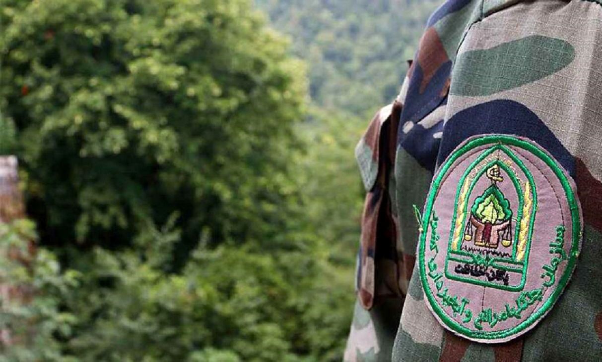 پوشش حفاظتی  ۹۷ ذخیره گاه جنگلی  لرستان