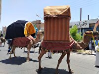 حرکت نمادین کاروان نینوا در بیرجند