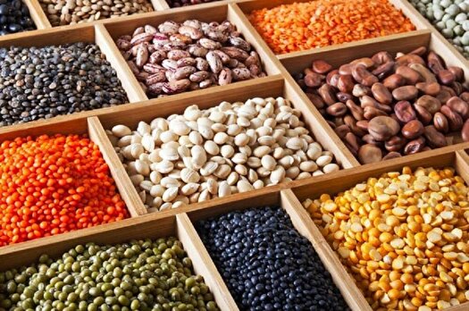 آغاز ثبت سفارش چای و حبوبات برای تابستان