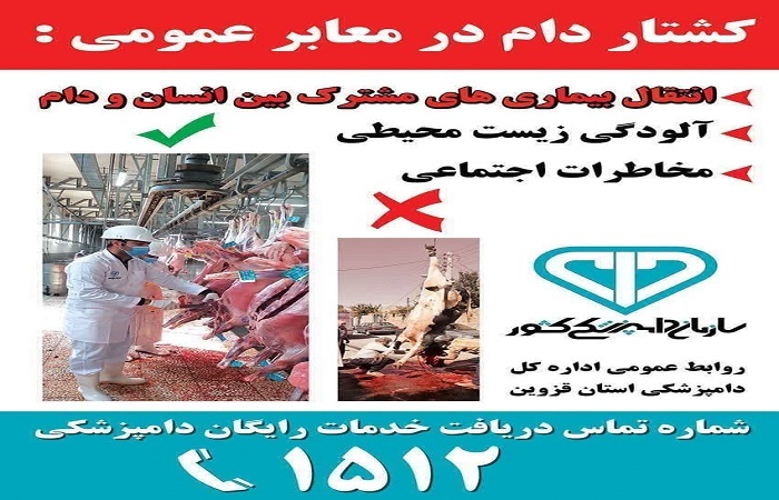 ۲۷ تیم دامپزشکی قزوین بر ذبح دام در محرم نظارت می‌کنند؛ از کشتار در معابر خودداری کنید