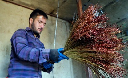 جاروی بیکاری