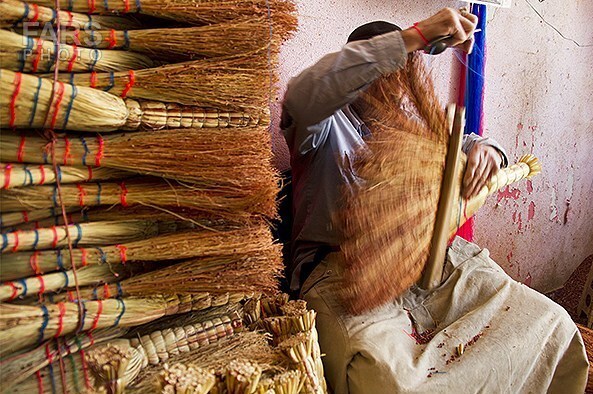 جاروی بیکاری