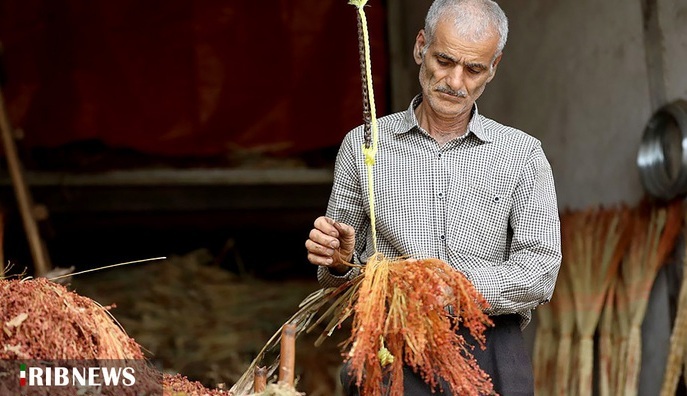 جاروی بیکاری