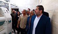 بازگشت کارخانه آرد ایوان به چرخه تولید