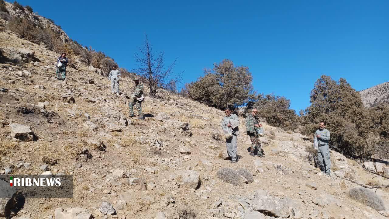 مراتع منطقه حفاظت شده گلیل و سرانی شیروان بذر پاشی شد