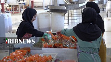 مشکلات زیرساختی شهرک صنعتی گرمی در مسیر برطرف شدن