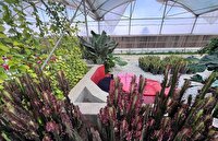 افتتاح نخستین مجتمع گردشگری کشاورزی شهر قزوین