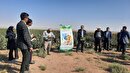 برگزاری نهمین کاروان ترویج الگوی کشت در اشتهارد
