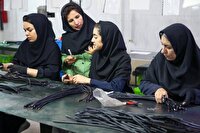 طرح ملی کارورزی و مشوق‌های بیمه‌ای در آذربایجان‌غربی آغاز شد