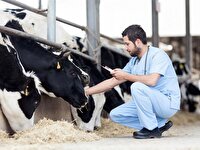 پایش کانونهای احتمالی بیماری تب برفکی در سرچهان