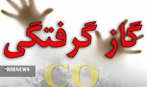 مسمومیت ۴ نفر با گاز مونوکسیدکربن در خراسان شمالی مسمومیت ۴ نفر با گاز مونوکسیدکربن در خراسان شمالی