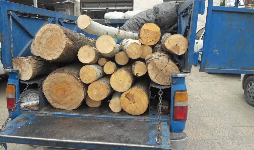 تخریبگر محیط زیست در بند قانون تخریبگر محیط زیست در بند قانون