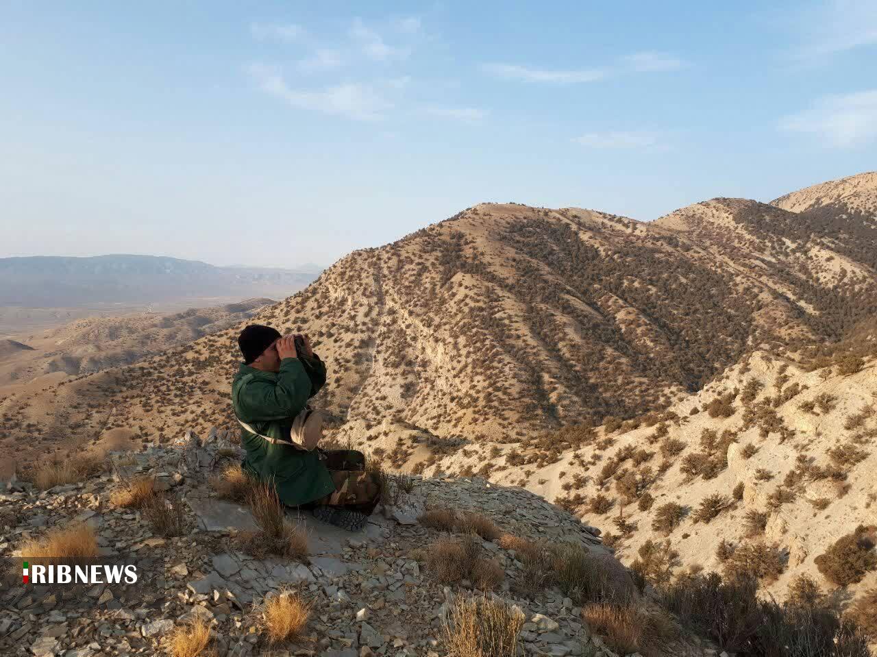 پایان سرشماری پاییزه حیات وحش در خراسان شمالی