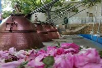سالانه یک میلیون تن‌گلاب در خوی تولید می شود