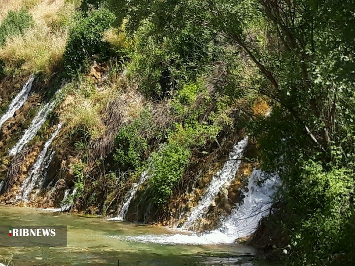 طبیعت بهاری سد و شالیزارهای چیتاب در شهرستان دنا